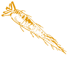 Хрен